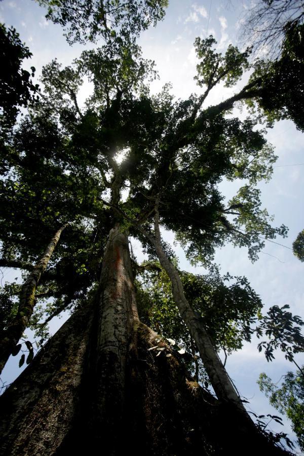 Misahualli Amazon Lodge Zewnętrze zdjęcie
