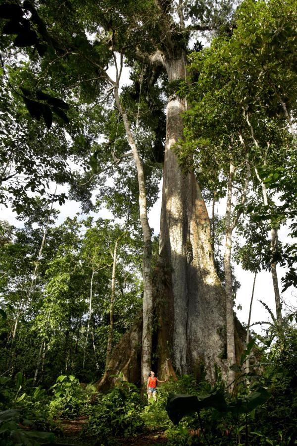 Misahualli Amazon Lodge Zewnętrze zdjęcie