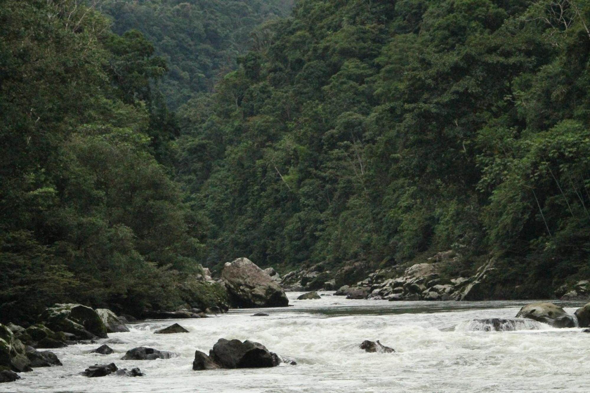 Misahualli Amazon Lodge Zewnętrze zdjęcie